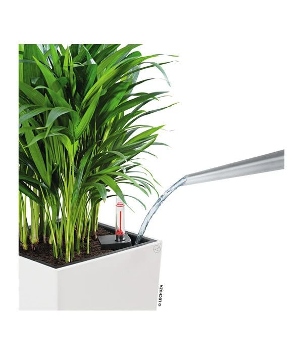 LECHUZA® CUBICO Color, All-in-One-Set 9 LECHUZA® CUBICO Color, All-in-One-Set – Bild 7