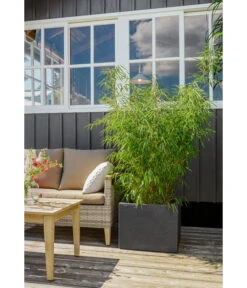 Dehner Kunststoff-Blumenkübel Palermo, Anthrazit 25 Dehner Kunststoff-Blumenkübel Palermo, Anthrazit -Garten Werk Zone 3728110 3728151 3940756 WE MO 009 KunststoffBlumenkuebelKubusanthrazitBlumentopf