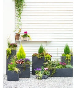 Dehner Kunststoff-Blumenkübel Palermo, Anthrazit 21 Dehner Kunststoff-Blumenkübel Palermo, Anthrazit -Garten Werk Zone 3728110 3940764 3693611 WE MO 001 KunststoffPflanzkastenKubus