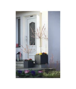 Dehner Kunststoff-Blumenkübel Palermo, Anthrazit 18 Dehner Kunststoff-Blumenkübel Palermo, Anthrazit -Garten Werk Zone 3728110 WE MO 001 KunststoffTopfKubusAnthrazitBlumenkuebelBlumentopfKubus