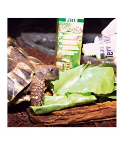 JBL TerraVit Fluid, Flüssige Multivitamine, 50 Ml 6 JBL TerraVit Fluid, Flüssige Multivitamine, 50 Ml -Garten Werk Zone 3851714 WE D 002 JBLTErravitfluid50ml