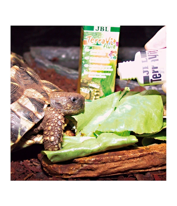 JBL TerraVit Fluid, Flüssige Multivitamine, 50 Ml 4 JBL TerraVit Fluid, Flüssige Multivitamine, 50 Ml – Bild 2