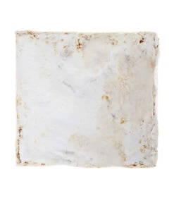 Pilzmännchen Bio Pilzzuchtset Austernpilz 7 Pilzmännchen Bio Pilzzuchtset Austernpilz -Garten Werk Zone 3940285 BildD 002 PilzmaennchenBioHomePilzzuchtsetAusternpilzPilzbrutAusternpilzSet