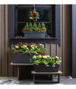 Efeu, Verschiedene Sorten 17 Efeu, Verschiedene Sorten -Garten Werk Zone 3940764 PR MO 001 KunststoffKastenKubus