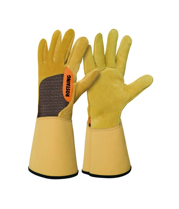 Rosenhandschuh Roncier 3 Rosenhandschuh Roncier