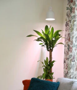 Venso Lampenschirm Saga Für Pflanzenlampe 9 Venso Lampenschirm Saga Für Pflanzenlampe -Garten Werk Zone 4179578 WE MO 003 LampenschirmSagaWeissfuerPflanzenlampe