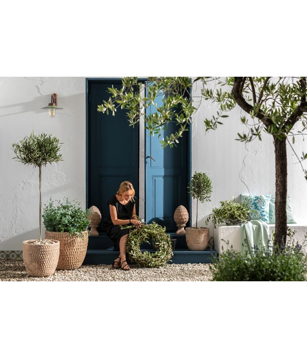 Dehner Terrakotta-Topf Adria, Rund, Antik-terrakotta 4 Dehner Terrakotta-Topf Adria, Rund, Antik-terrakotta – Bild 2