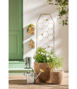 Dehner Terrakotta-Topf Adria, Rund, Antik-terrakotta 13 Dehner Terrakotta-Topf Adria, Rund, Antik-terrakotta -Garten Werk Zone 4272530 WE MO 005 DehnerTerrakottaTopfterrakottaantik