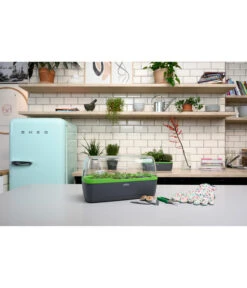 Romberg BoQube Gewächshaus 18 Romberg BoQube Gewächshaus -Garten Werk Zone 4299970 WE MO 002 BoQubeGewaechshausZimmergewaechshaus