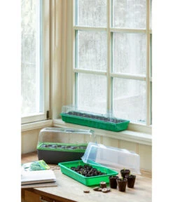 Romberg Zimmergewächshaus 7 Romberg Zimmergewächshaus -Garten Werk Zone 4299970 WE MO 004 BoQubeZimmergewaechshaus