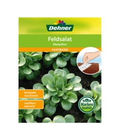 Dehner Samen-Set Easy Going 24 Dehner Samen-Set Easy Going -Garten Werk Zone 4322590 WE FS 005 DehnerSamenSaatgutSaemereienSetEasyGoing