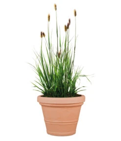 Scheurich Kunststoff-Topf Claudia, Rund 8 Scheurich Kunststoff-Topf Claudia, Rund -Garten Werk Zone 4470142 WE FS 002 ScheurichTopfClaudia