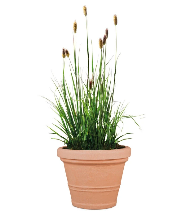 Scheurich Kunststoff-Topf Claudia, Rund 4 Scheurich Kunststoff-Topf Claudia, Rund – Bild 2