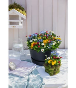 Elho Kunststoff-Schale Greenville, Ca. Ø33/H19,5 Cm 9 Elho Kunststoff-Schale Greenville, Ca. Ø33/H19,5 Cm -Garten Werk Zone 4474292 WE MO 002 elhoKunststoffSchaleGreenville