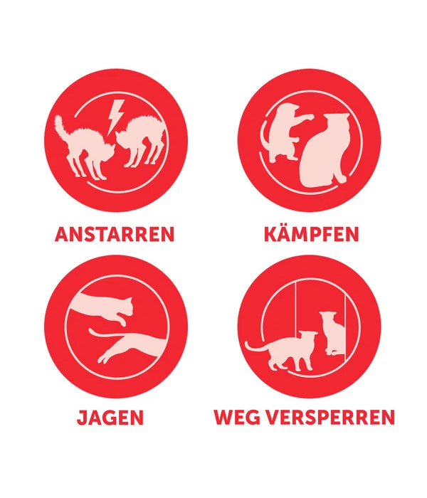 FELIWAY® Alltagshelfer Friends Nachfüllflakon 10 FELIWAY® Alltagshelfer Friends Nachfüllflakon – Bild 8