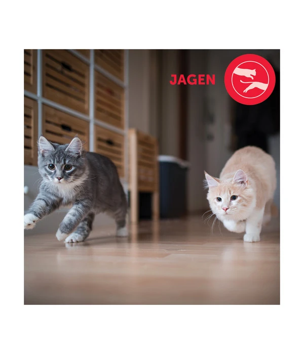 FELIWAY® Alltagshelfer Friends Nachfüllflakon 6 FELIWAY® Alltagshelfer Friends Nachfüllflakon – Bild 4