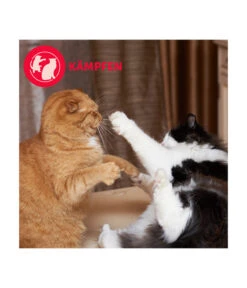 FELIWAY® Alltagshelfer Friends Nachfüllflakon 14 FELIWAY® Alltagshelfer Friends Nachfüllflakon -Garten Werk Zone 4477311 4477329 WE D 005 CevaFeliwayFriends