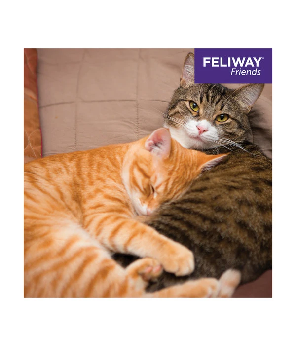 FELIWAY® Alltagshelfer Friends Nachfüllflakon 4 FELIWAY® Alltagshelfer Friends Nachfüllflakon – Bild 2