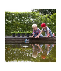 Artstone Kunststoff-Blumentopf Claire, Rund 9 Artstone Kunststoff-Blumentopf Claire, Rund -Garten Werk Zone 5160395 WE MO 002 KunststoffTopfClaireschwarz