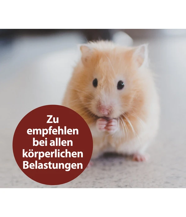 Quiko® Vitacombex® Na Multivitaminsaft Für Nager, 125 Ml 4 Quiko® Vitacombex® Na Multivitaminsaft Für Nager, 125 Ml – Bild 2