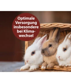 Quiko® Vitacombex® Na Multivitaminsaft Für Nager, 125 Ml 8 Quiko® Vitacombex® Na Multivitaminsaft Für Nager, 125 Ml -Garten Werk Zone 5198106 WE MO 002 QuikoVFVitacombexNa125ml