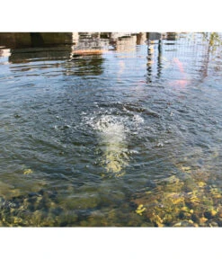 Esotec Teichbelüfter Solar Air-S 6 Esotec Teichbelüfter Solar Air-S -Garten Werk Zone 5219704 BildM 001 EsotecSunnytrendTeichZubehoerTeichbeluefterSolarAirSSolarTeichbeluefter