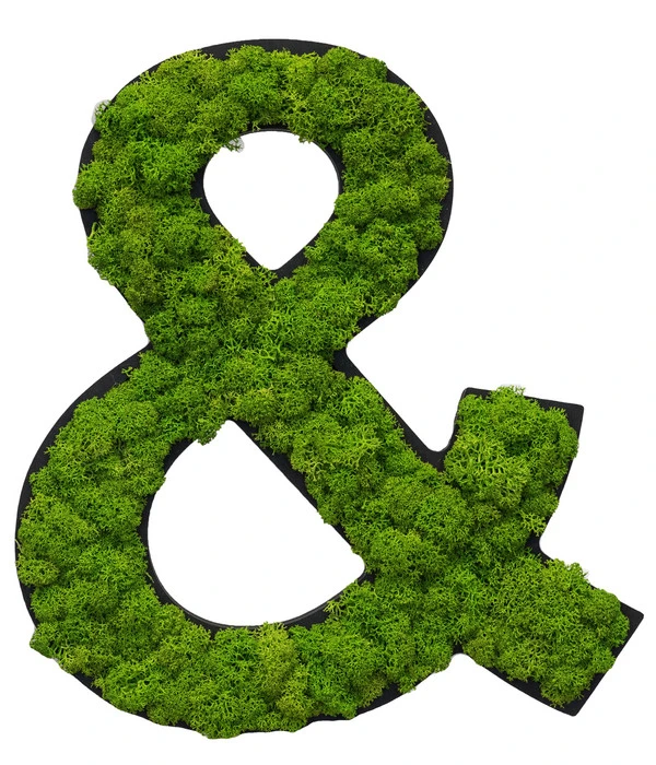 StyleGREEN Sonderzeichen 'Und' Aus Islandmoos, Ca. B20/H25/T3,5 Cm 3 StyleGREEN Sonderzeichen 'Und' Aus Islandmoos, Ca. B20/H25/T3,5 Cm