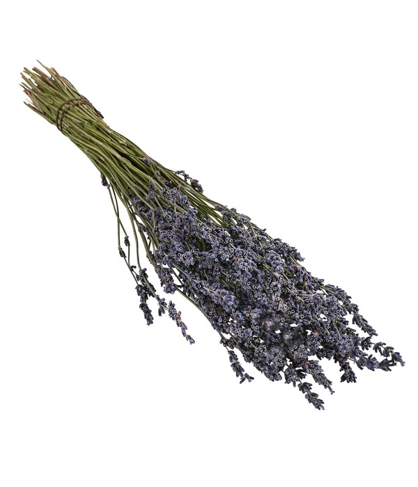 Trockenblumenbund Lavendel 3 Trockenblumenbund Lavendel