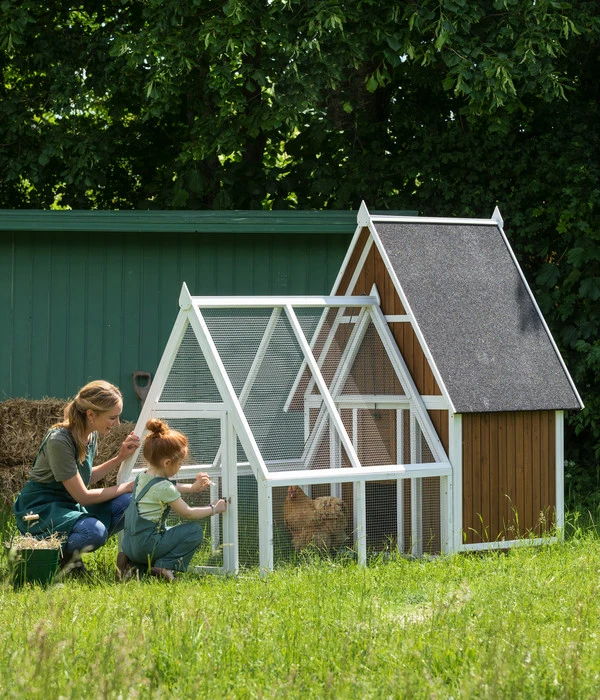 Dehner Lieblinge Hühnerstall Madita, Braun/weiß, Ca. B223/H173,5/T140 Cm 5 Dehner Lieblinge Hühnerstall Madita, Braun/weiß, Ca. B223/H173,5/T140 Cm – Bild 3