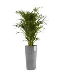 Ecopots Kunststoff-Topf Amsterdam, Rund 8 Ecopots Kunststoff-Topf Amsterdam, Rund -Garten Werk Zone 6614358 WE FS 002 EcopotsKunststoffTopfAmsterdamhalbhochrund