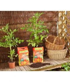 Floragard Aktiv Tomaten- Und Gemüseerde 7 Floragard Aktiv Tomaten- Und Gemüseerde -Garten Werk Zone 6624688 WE MO 001 FloragardAktivTomatenundGemueseerde