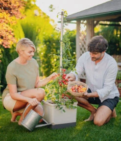 Gusta Garden Tomatentopf Tom Tomato, Ca. B35/H135/T28 Cm 7 Gusta Garden Tomatentopf Tom Tomato, Ca. B35/H135/T28 Cm -Garten Werk Zone 6627053 WE MO 001 TomTomatoTomatenanbau