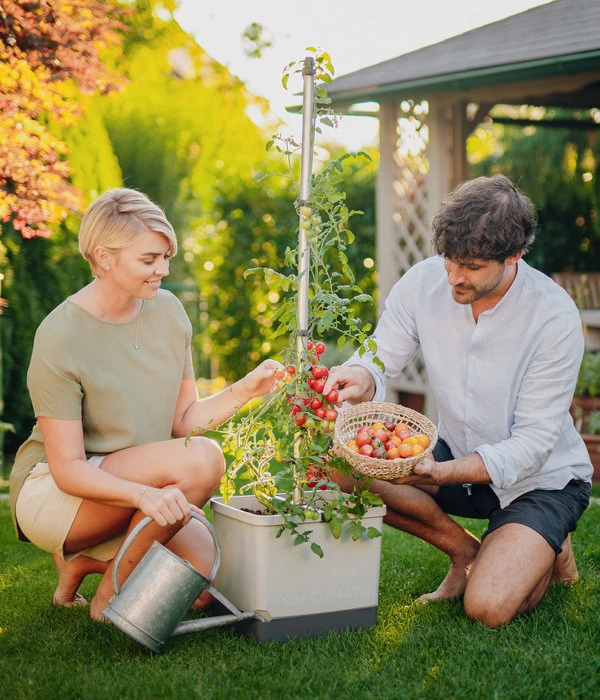 Gusta Garden Tomatentopf Tom Tomato, Ca. B35/H135/T28 Cm 5 Gusta Garden Tomatentopf Tom Tomato, Ca. B35/H135/T28 Cm – Bild 3