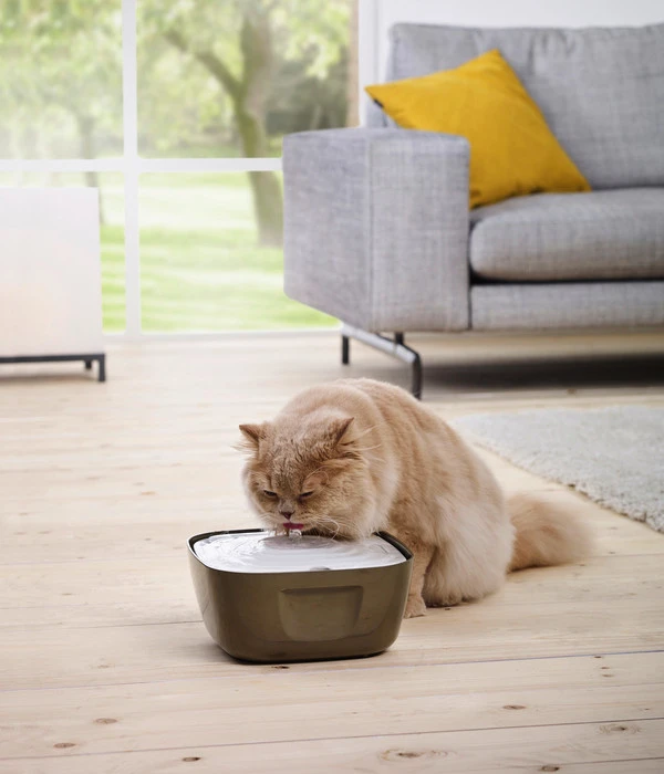 SAVIC Trinkbrunnen Volcano, Weiß/grau, Ca. B25/H11/T25 Cm 6 SAVIC Trinkbrunnen Volcano, Weiß/grau, Ca. B25/H11/T25 Cm – Bild 4