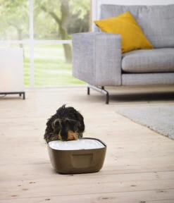 SAVIC Trinkbrunnen Volcano, Weiß/grau, Ca. B25/H11/T25 Cm 11 SAVIC Trinkbrunnen Volcano, Weiß/grau, Ca. B25/H11/T25 Cm -Garten Werk Zone 6628101 WE MO 002 SavicVolcanoTrinkbrunnen