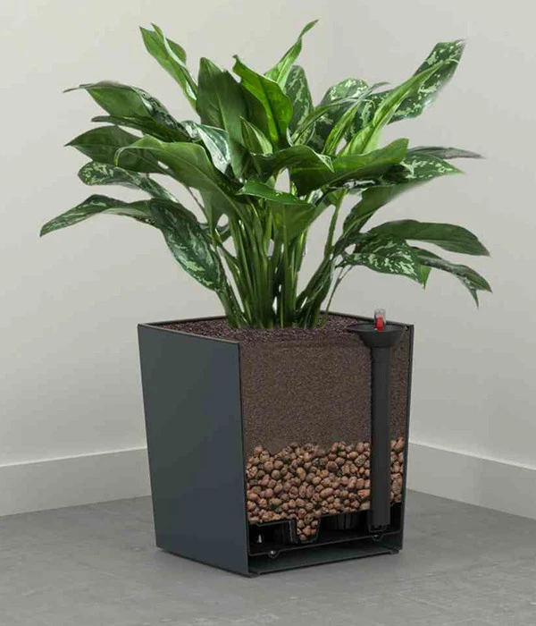 Siena Garden Kunststoff-Topf Biron, Eckig, Ca. B40/H41,5/T40 Cm 7 Siena Garden Kunststoff-Topf Biron, Eckig, Ca. B40/H41,5/T40 Cm – Bild 5