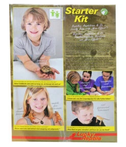 Lucky Reptile Terrarium Starter Kit Wüstengecko, Ca. B50/H40/T28 Cm 19 Lucky Reptile Terrarium Starter Kit Wüstengecko, Ca. B50/H40/T28 Cm -Garten Werk Zone 6662027 6662092 WE DE 002 LuckyReptileStarterKitWuestengecko