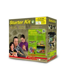 Lucky Reptile Terrarium Starter Kit Wüstengecko, Ca. B50/H40/T28 Cm