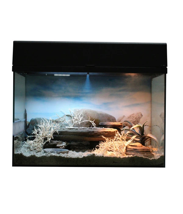 Lucky Reptile Terrarium Starter Kit Wüstengecko, Ca. B50/H40/T28 Cm 5 Lucky Reptile Terrarium Starter Kit Wüstengecko, Ca. B50/H40/T28 Cm – Bild 3