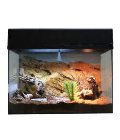 Lucky Reptile Terrarium Starter Kit Wüstengecko, Ca. B50/H40/T28 Cm 14 Lucky Reptile Terrarium Starter Kit Wüstengecko, Ca. B50/H40/T28 Cm -Garten Werk Zone 6662027 WE FS 003 LuRepStarterKitWuestengeckoSW