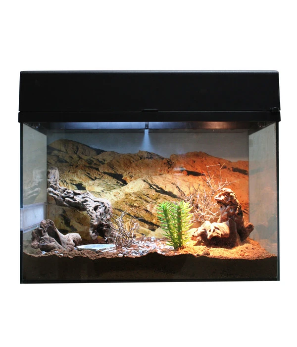 Lucky Reptile Terrarium Starter Kit Wüstengecko, Ca. B50/H40/T28 Cm 6 Lucky Reptile Terrarium Starter Kit Wüstengecko, Ca. B50/H40/T28 Cm – Bild 4