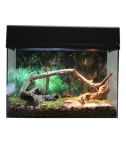 Lucky Reptile Terrarium Starter Kit Wüstengecko, Ca. B50/H40/T28 Cm 15 Lucky Reptile Terrarium Starter Kit Wüstengecko, Ca. B50/H40/T28 Cm -Garten Werk Zone 6662027 WE FS 004 LuRepStarterKitWuestengeckoSW