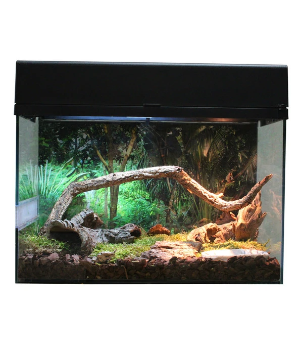 Lucky Reptile Terrarium Starter Kit Wüstengecko, Ca. B50/H40/T28 Cm 7 Lucky Reptile Terrarium Starter Kit Wüstengecko, Ca. B50/H40/T28 Cm – Bild 5