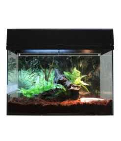 Lucky Reptile Terrarium Starter Kit Wüstengecko, Ca. B50/H40/T28 Cm 16 Lucky Reptile Terrarium Starter Kit Wüstengecko, Ca. B50/H40/T28 Cm -Garten Werk Zone 6662027 WE FS 005 LuRepStarterKitWuestengeckoSW