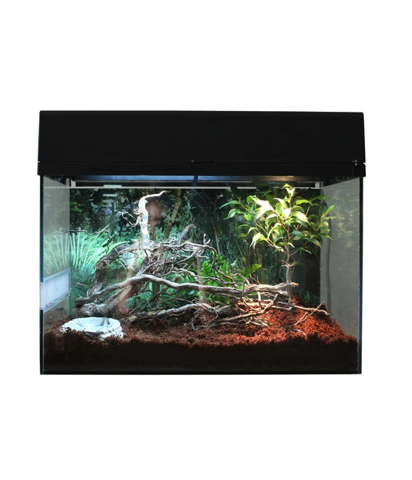 Lucky Reptile Terrarium Starter Kit Wüstengecko, Ca. B50/H40/T28 Cm 9 Lucky Reptile Terrarium Starter Kit Wüstengecko, Ca. B50/H40/T28 Cm – Bild 7