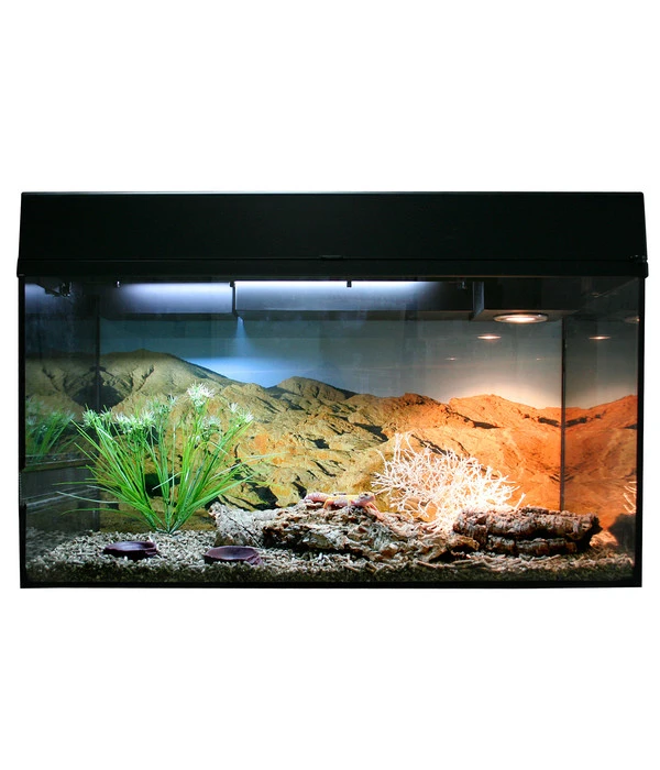 Lucky Reptile Starter Kit Komplettset Leopardgecko, Ca. B80/H52/T40 Cm 3 Lucky Reptile Starter Kit Komplettset Leopardgecko, Ca. B80/H52/T40 Cm