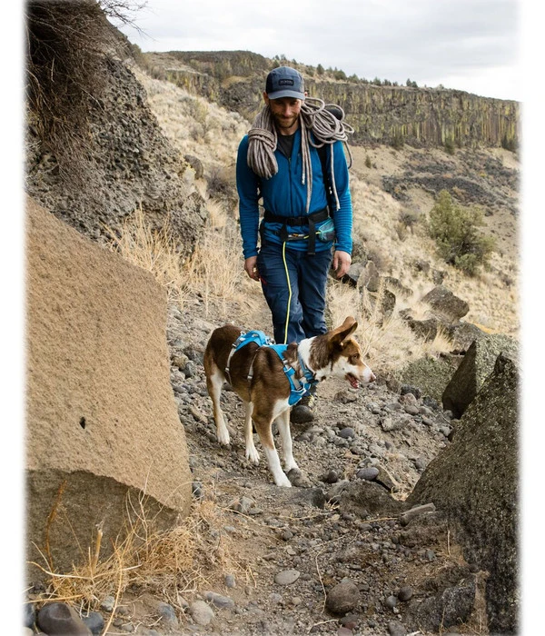 RUFFWEAR® Hundegeschirr Flagline Harness 2.0 4 RUFFWEAR® Hundegeschirr Flagline Harness 2.0 – Bild 2