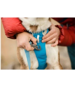 RUFFWEAR® Hundegeschirr Flagline Harness 2.0 15 RUFFWEAR® Hundegeschirr Flagline Harness 2.0 -Garten Werk Zone 6730675 6730683 6730691 6730709 6730717 WE MO 002 RWFlaglineHarnessBlueDusk