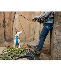 RUFFWEAR® Hundegeschirr Flagline Harness 2.0 17 RUFFWEAR® Hundegeschirr Flagline Harness 2.0 -Garten Werk Zone 6730675 6730683 6730691 6730709 6730717 WE MO 005 RWFlaglineHarnessBlueDusk