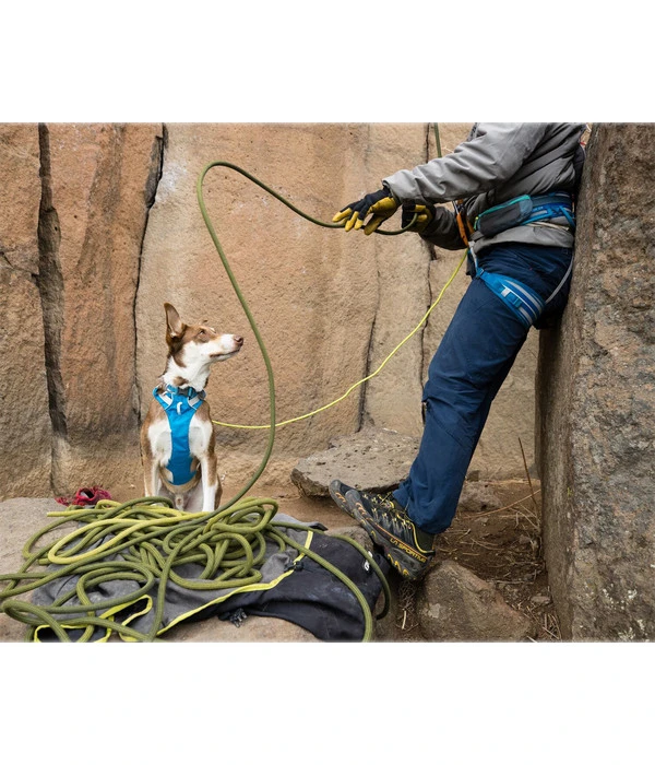 RUFFWEAR® Hundegeschirr Flagline Harness 2.0 7 RUFFWEAR® Hundegeschirr Flagline Harness 2.0 – Bild 5